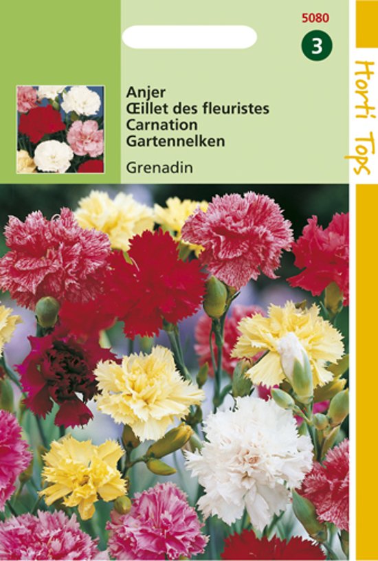 Carnation Grenadin Mix (Dianthus) 300 seeds HT